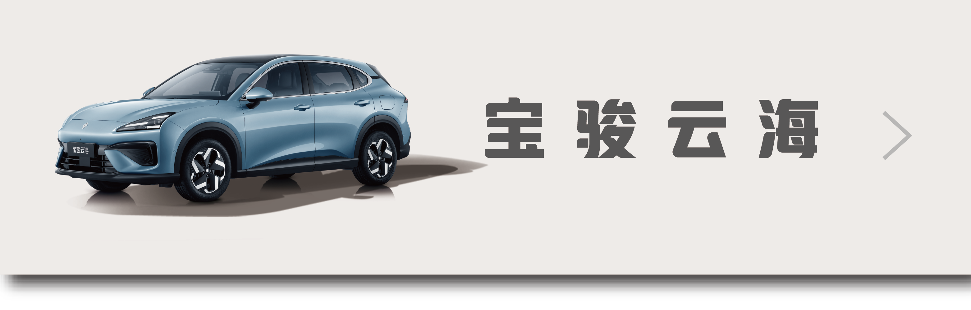 newbaojun